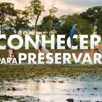 Aliás cria cartilha educativa para o projeto Bichos do Pantanal